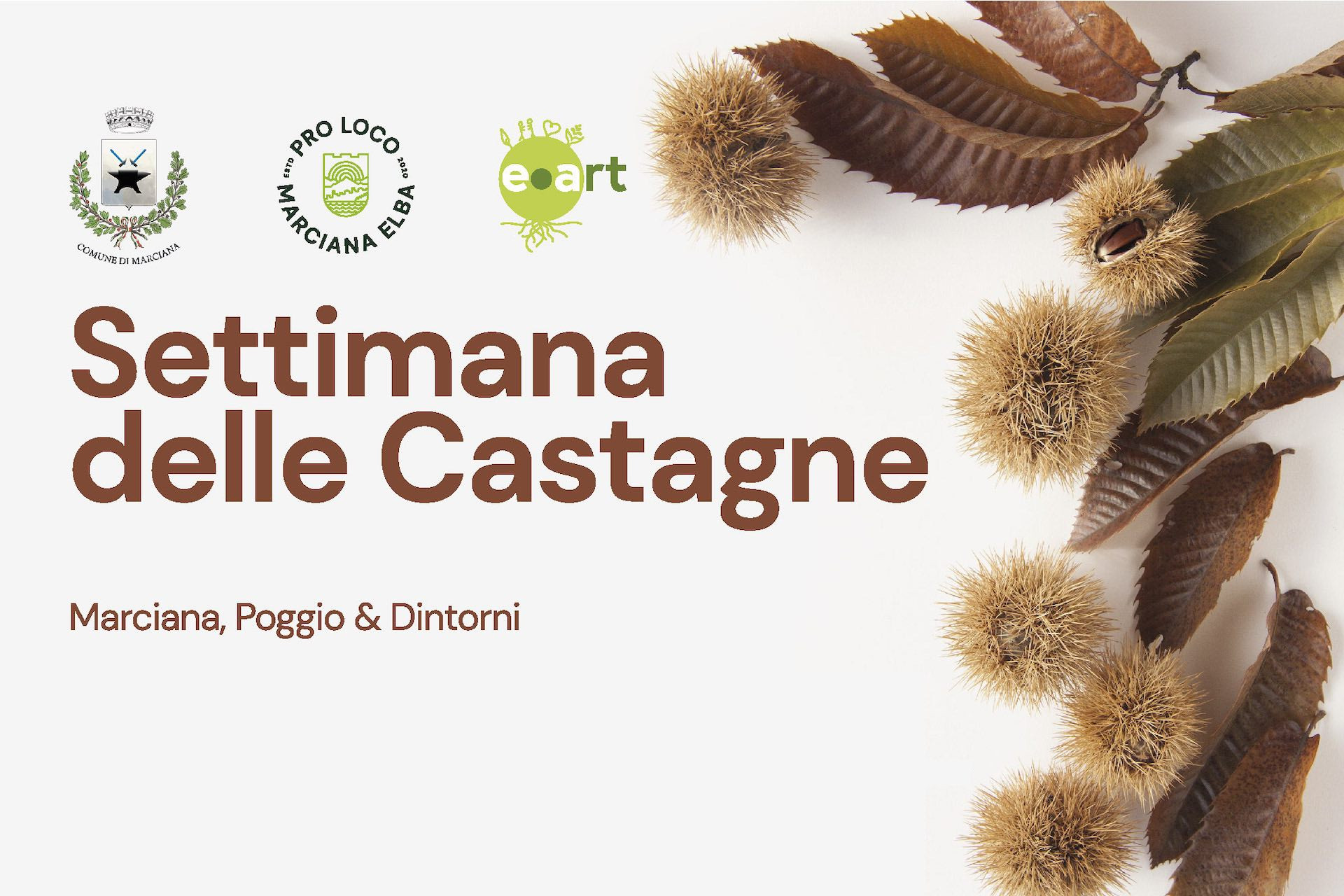 Castagnata_1920x1280